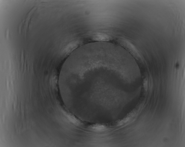 X0000094820322200711241514
