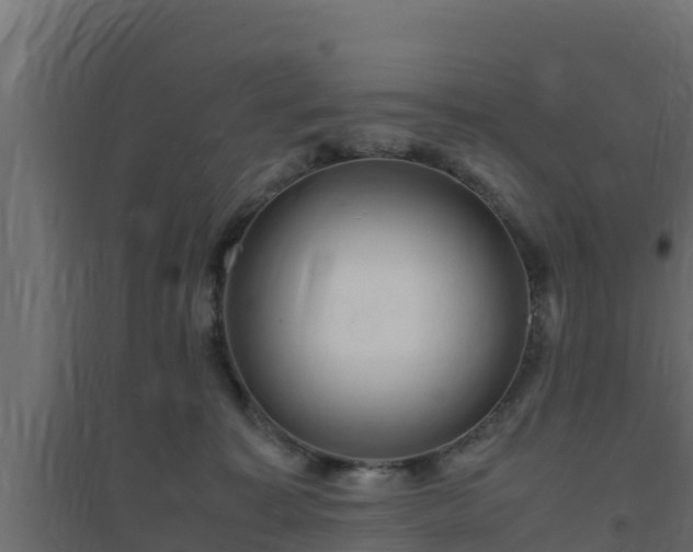 X0000094820323200711241514