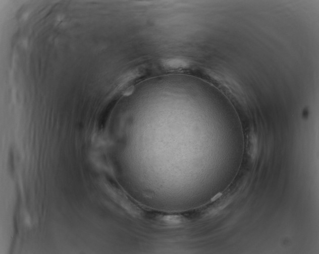 X0000094820324200711241514