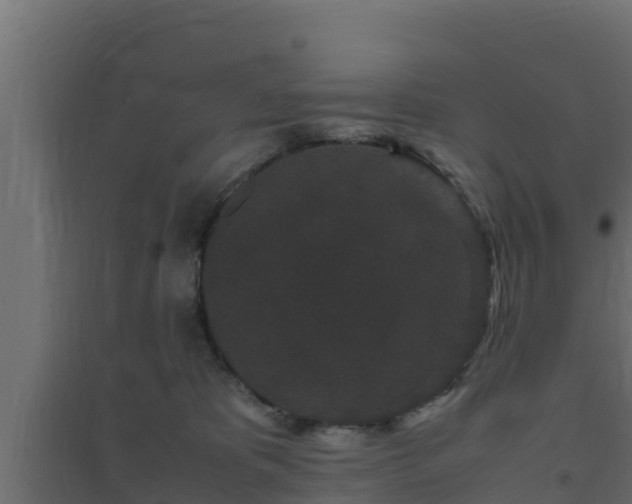 X0000094820325200711241514