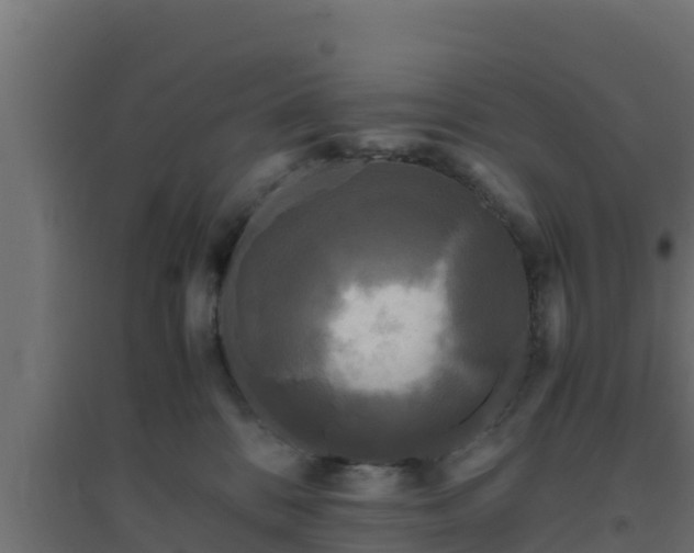 X0000094820328200711241514