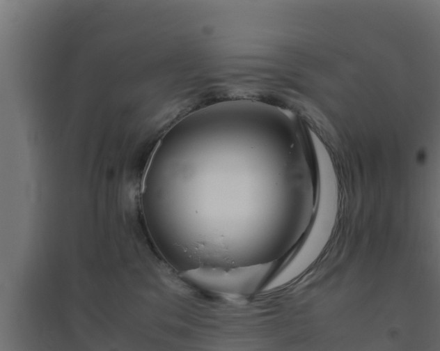 X0000094820329200711241514