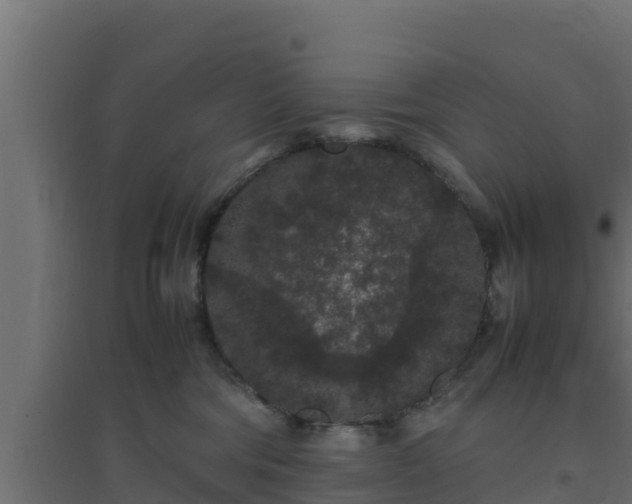 X0000094820330200711241514