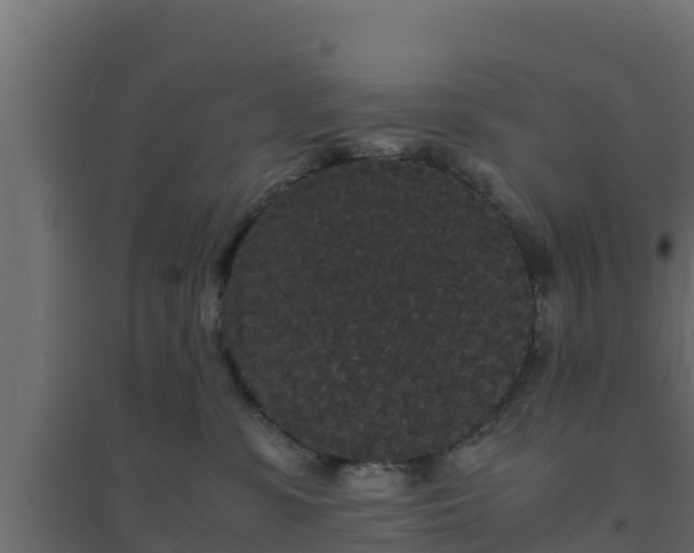 X0000094820331200711241514
