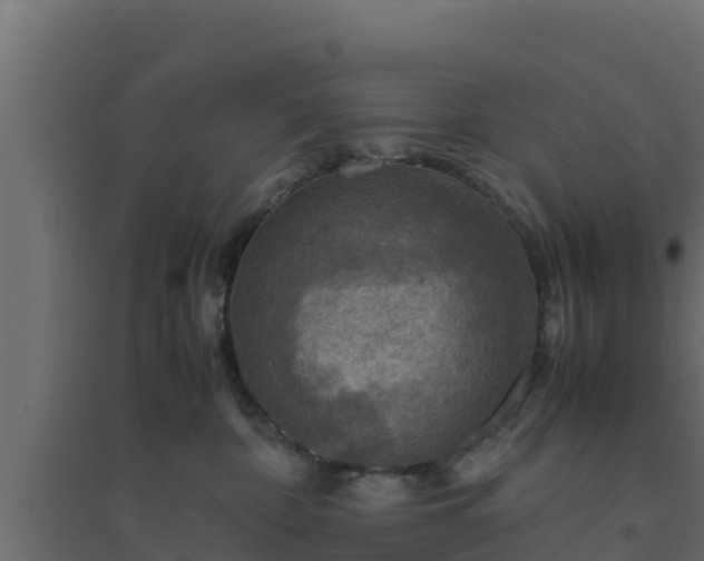 X0000094820332200711241514