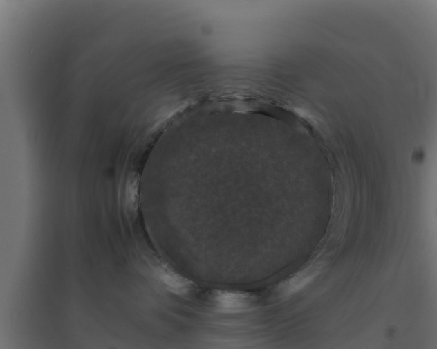 X0000094820336200711241514