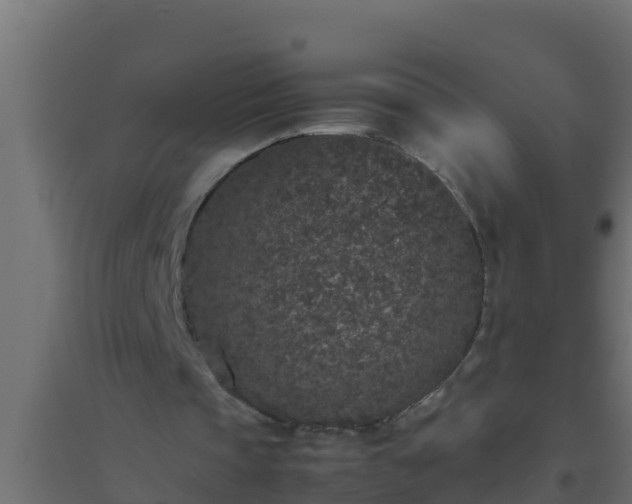 X0000094820337200711241513
