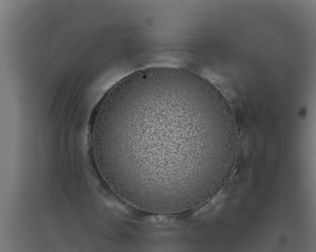 X0000094820338200711241513