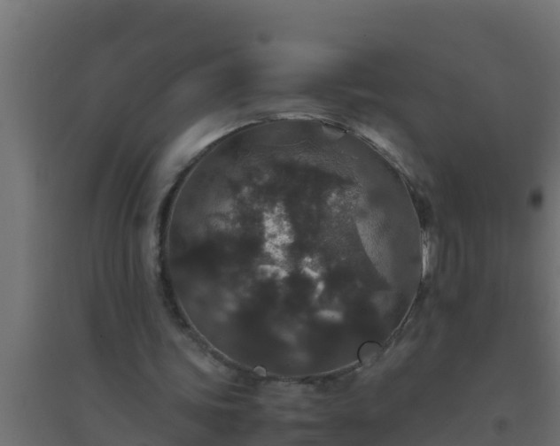 X0000094820339200711241513