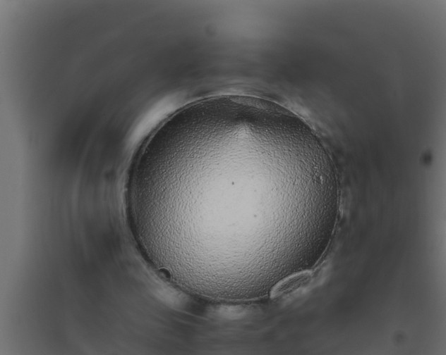 X0000094820341200711241513