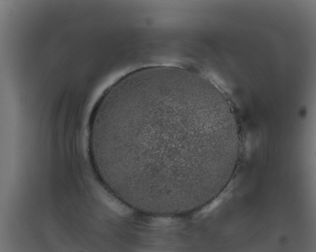 X0000094820342200711241513