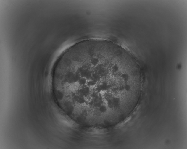 X0000094820343200711241513