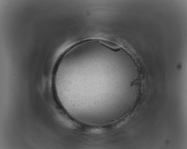X0000094820344200711241513
