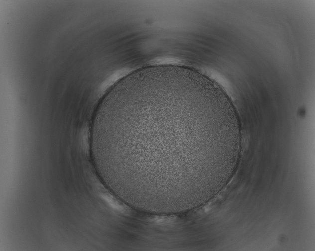 X0000094820345200711241513