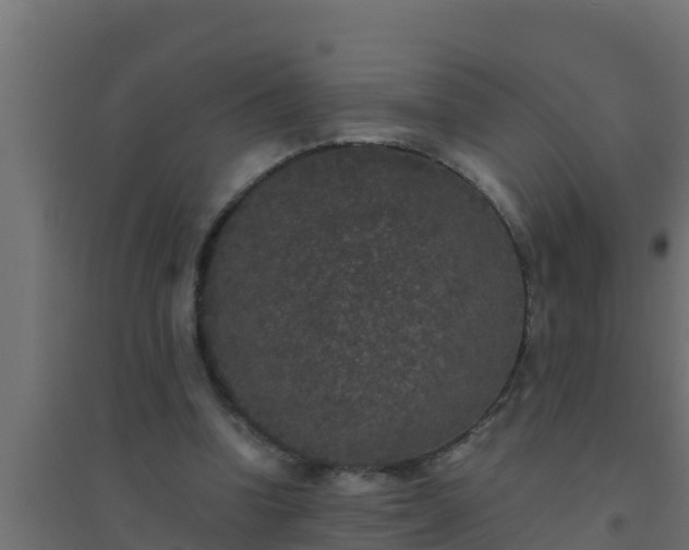 X0000094820346200711241513