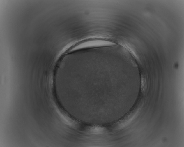 X0000094820348200711241513