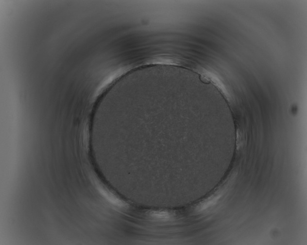 X0000094820349200711241513