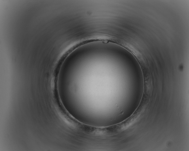 X0000094820350200711241513