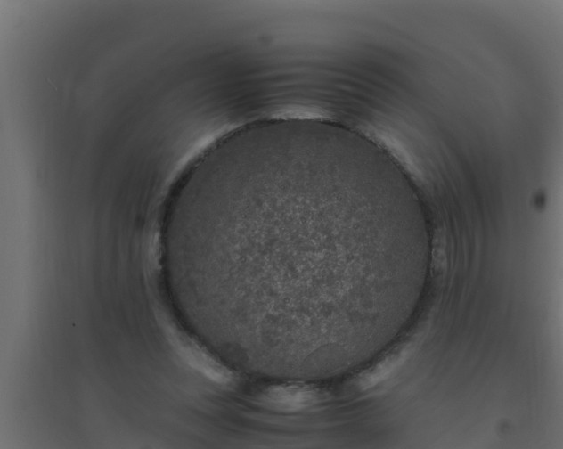 X0000094820351200711241513