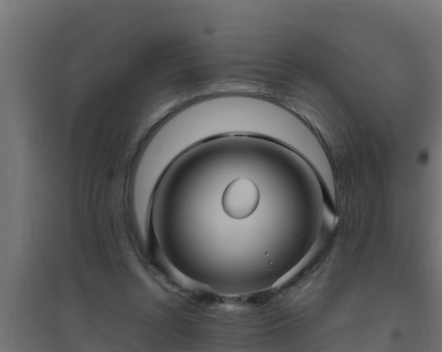 X0000094820352200711241513