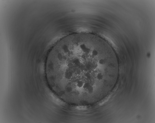 X0000094820353200711241513
