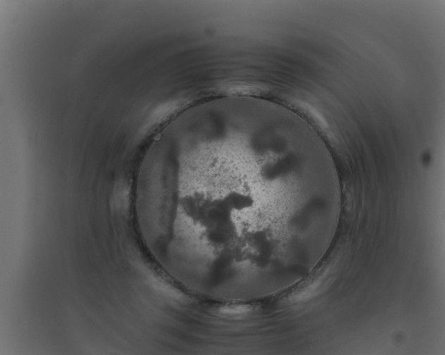 X0000094820357200711241513