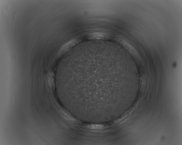 X0000094820361200711241513