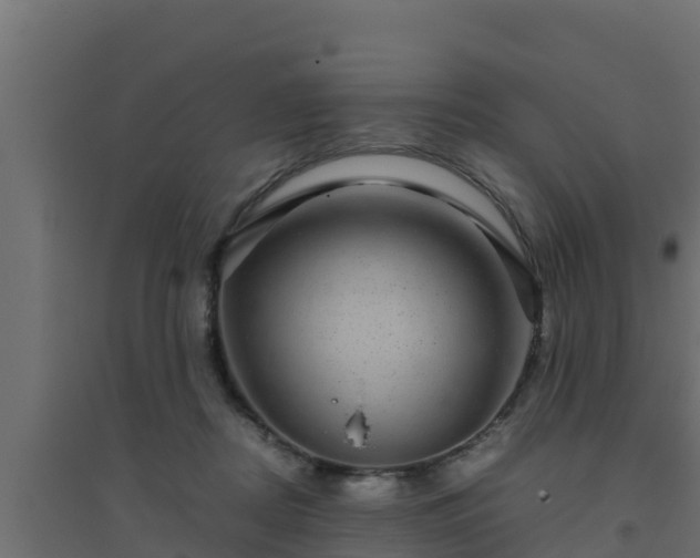 X0000094820362200711241513