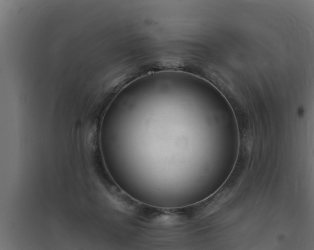 X0000094820364200711241513