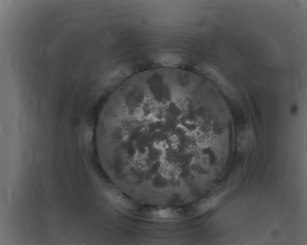 X0000094820365200711241513