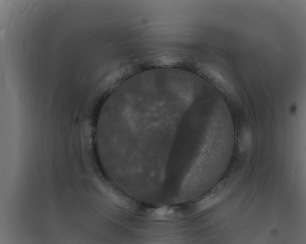 X0000094820366200711241513