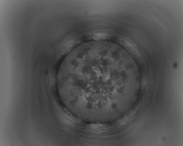 X0000094820367200711241513