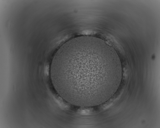 X0000094820368200711241513