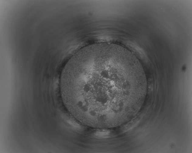 X0000094820369200711241513