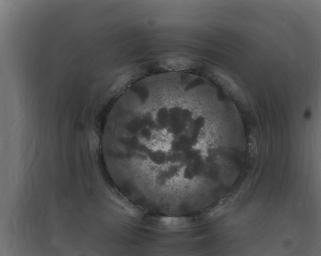 X0000094820371200711241513