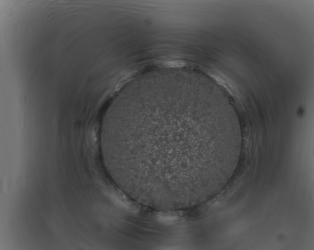X0000094820373200711241513