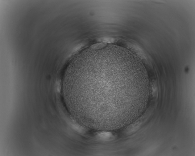 X0000094820374200711241513