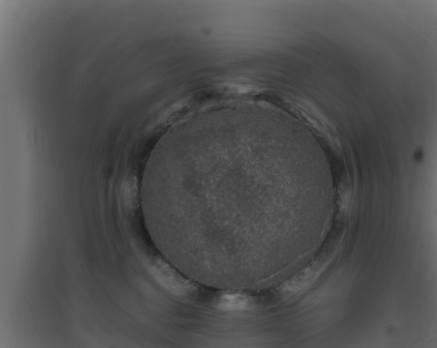 X0000094820376200711241513