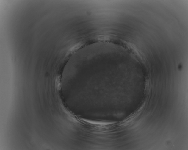 X0000094820383200711241514