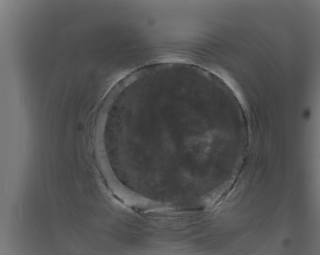 X0000094820385200711241513