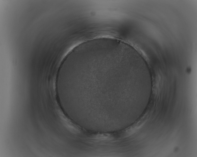 X0000094820386200711241513