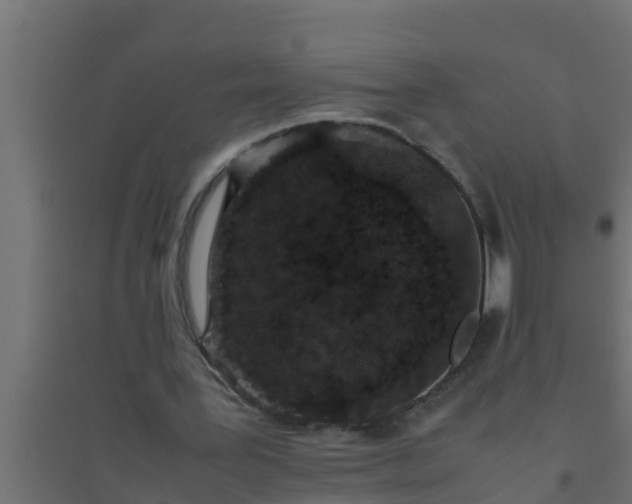 X0000094820387200711241513