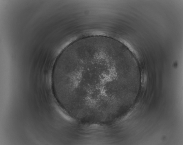 X0000094820390200711241513