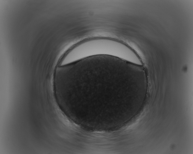 X0000094820391200711241513
