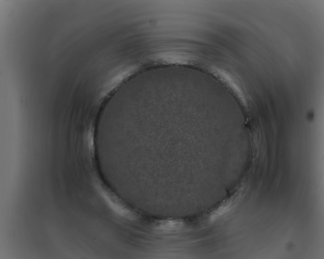 X0000094820398200711241513