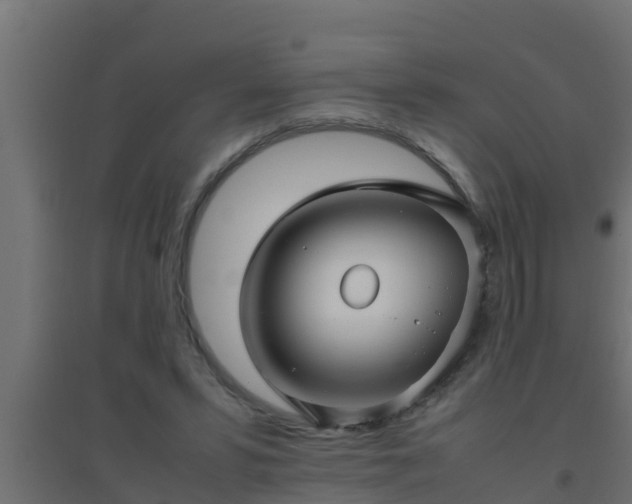 X0000094820399200711241513