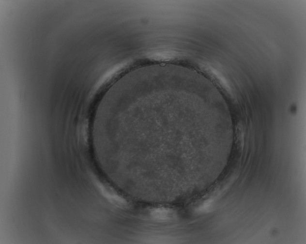 X0000094820400200711241513
