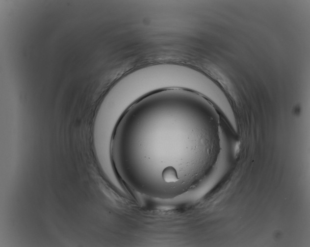X0000094820401200711241513