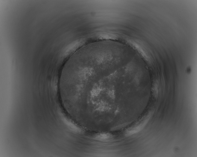 X0000094820402200711241513