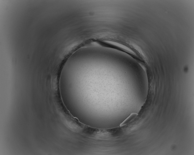 X0000094820403200711241513